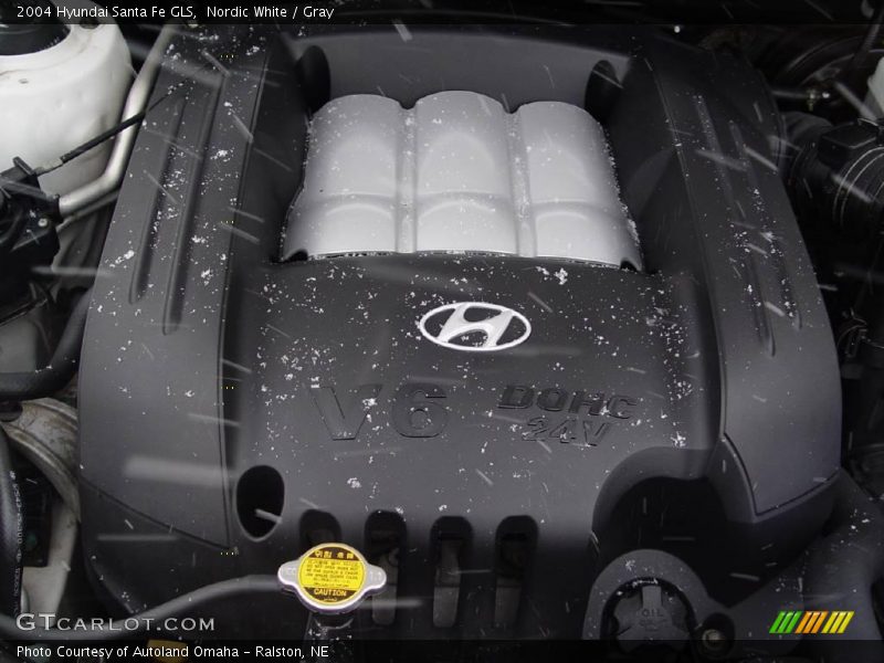 Nordic White / Gray 2004 Hyundai Santa Fe GLS
