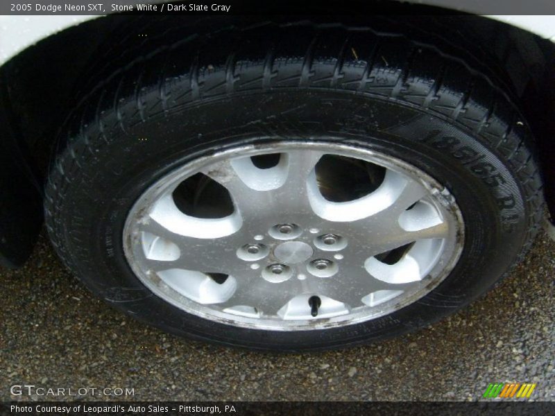 Stone White / Dark Slate Gray 2005 Dodge Neon SXT