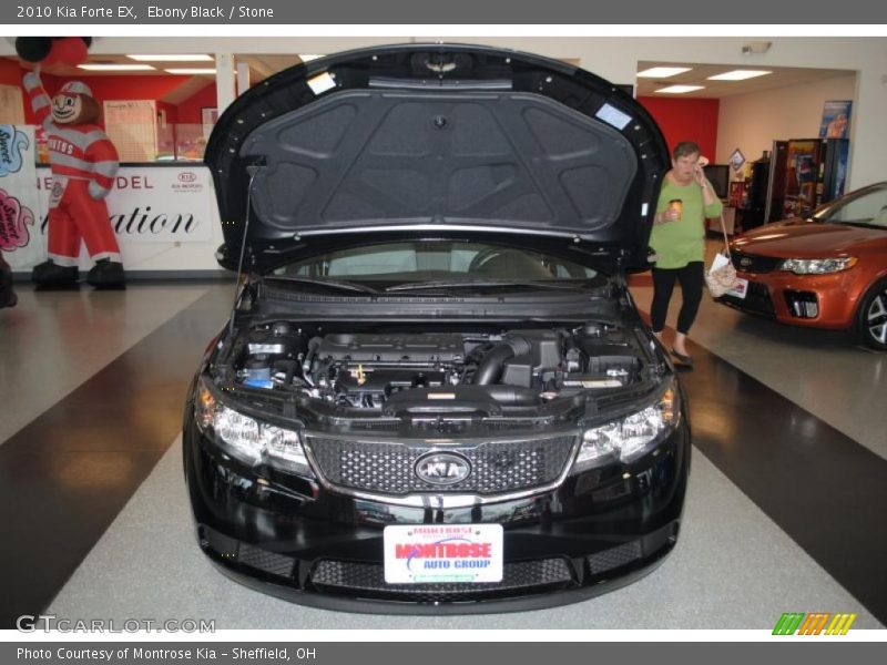 Ebony Black / Stone 2010 Kia Forte EX