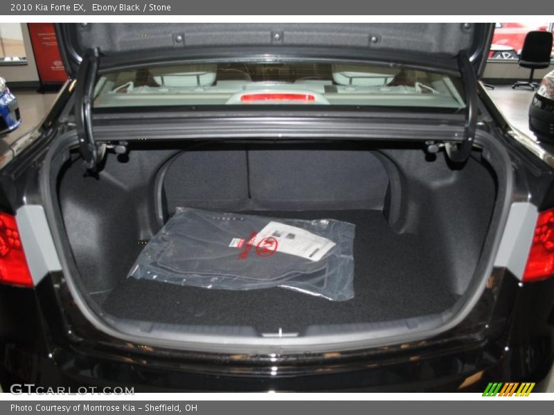 Ebony Black / Stone 2010 Kia Forte EX