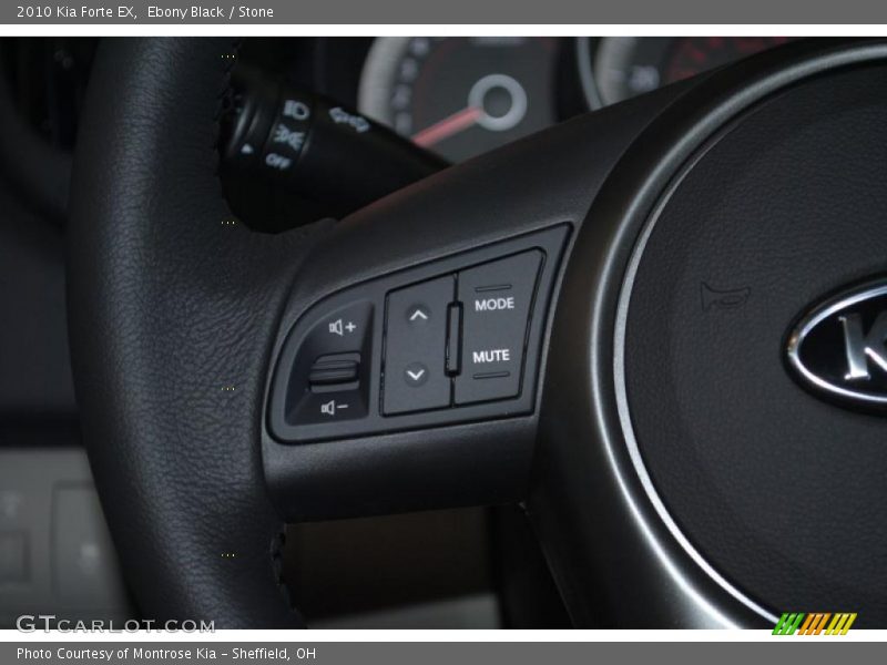 Ebony Black / Stone 2010 Kia Forte EX
