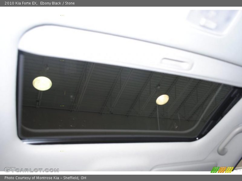 Ebony Black / Stone 2010 Kia Forte EX