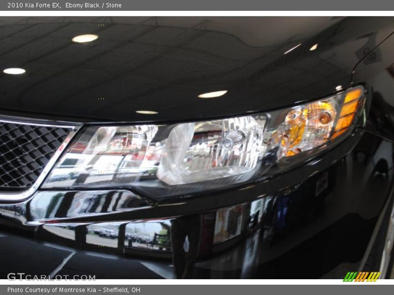 Ebony Black / Stone 2010 Kia Forte EX
