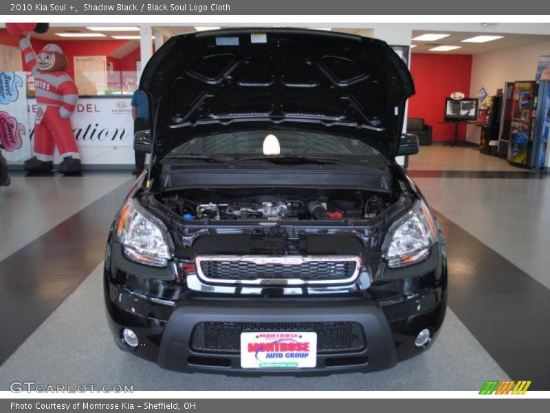 Shadow Black / Black Soul Logo Cloth 2010 Kia Soul +