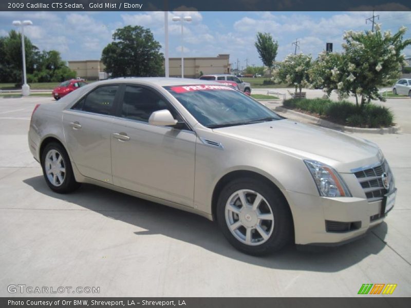 Gold Mist / Ebony 2009 Cadillac CTS Sedan
