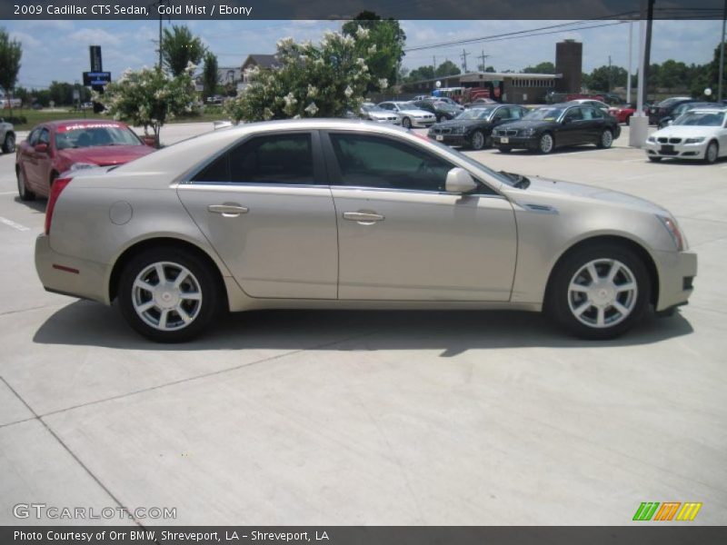 Gold Mist / Ebony 2009 Cadillac CTS Sedan