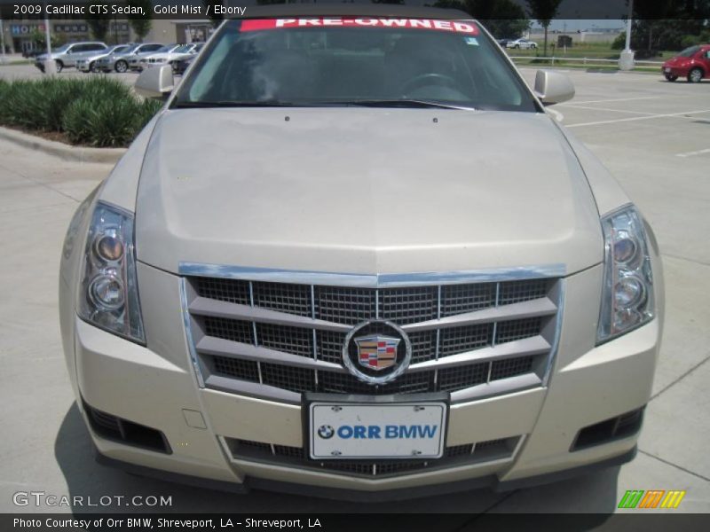 Gold Mist / Ebony 2009 Cadillac CTS Sedan