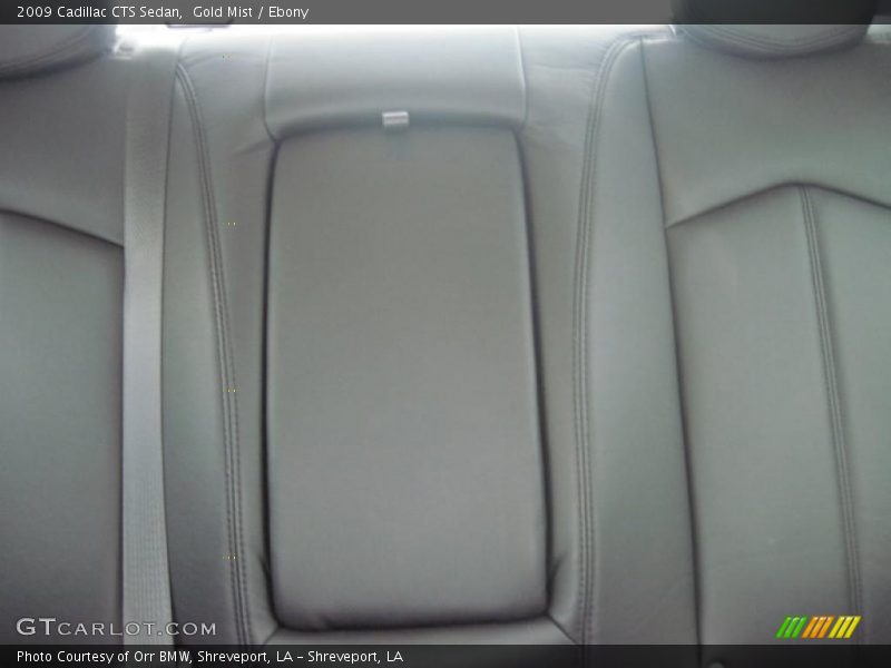 Gold Mist / Ebony 2009 Cadillac CTS Sedan