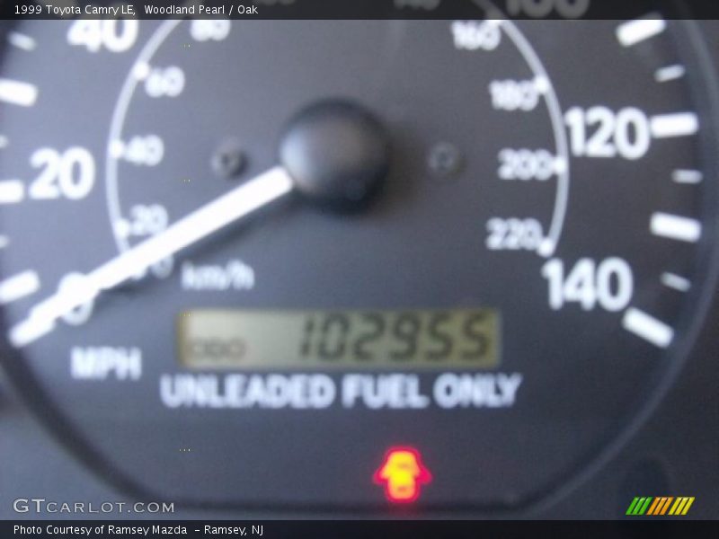 Woodland Pearl / Oak 1999 Toyota Camry LE