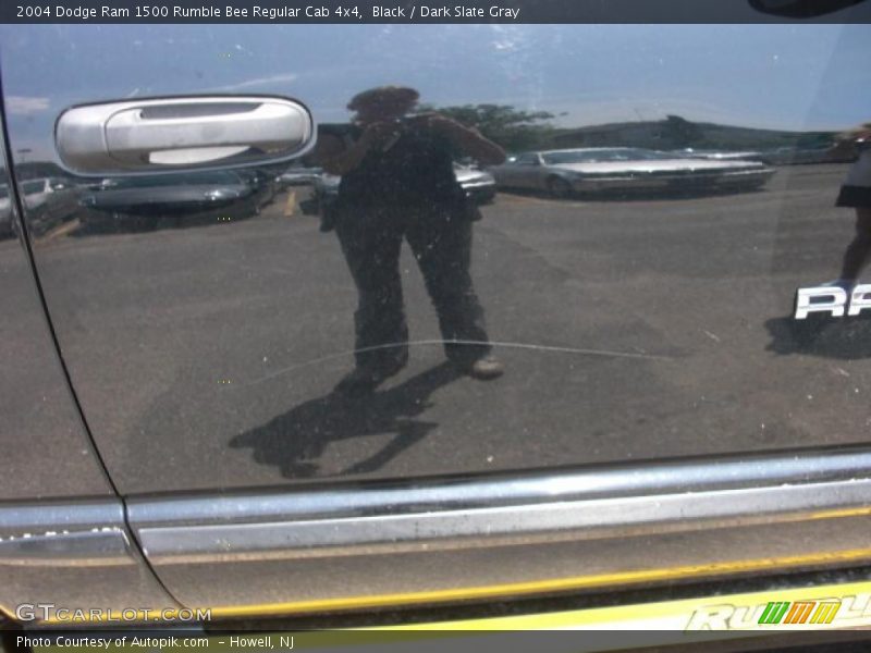 Black / Dark Slate Gray 2004 Dodge Ram 1500 Rumble Bee Regular Cab 4x4