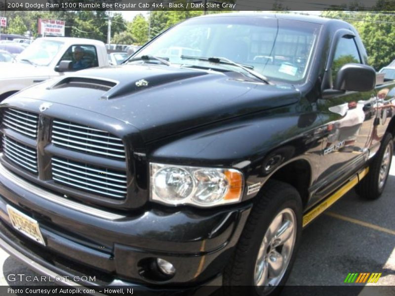 Black / Dark Slate Gray 2004 Dodge Ram 1500 Rumble Bee Regular Cab 4x4