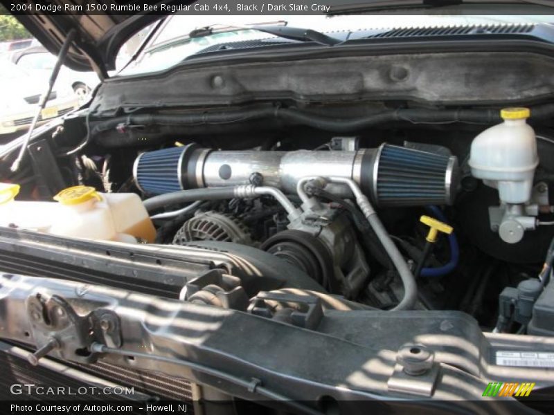 Black / Dark Slate Gray 2004 Dodge Ram 1500 Rumble Bee Regular Cab 4x4
