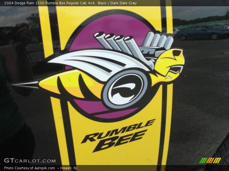 Black / Dark Slate Gray 2004 Dodge Ram 1500 Rumble Bee Regular Cab 4x4