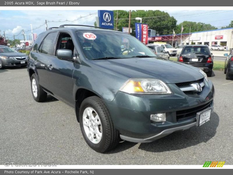 Sage Brush Pearl / Ebony 2005 Acura MDX