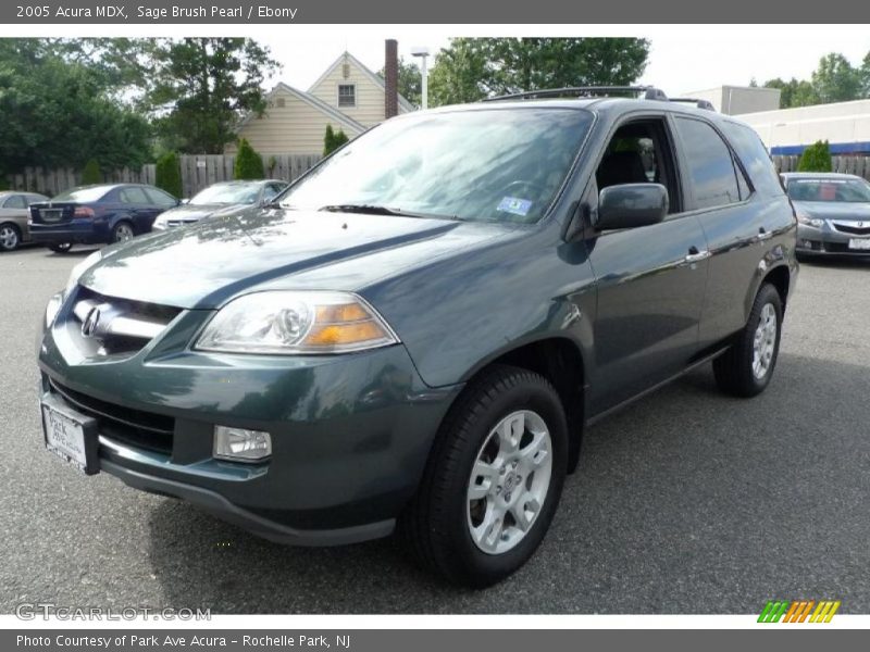 Sage Brush Pearl / Ebony 2005 Acura MDX