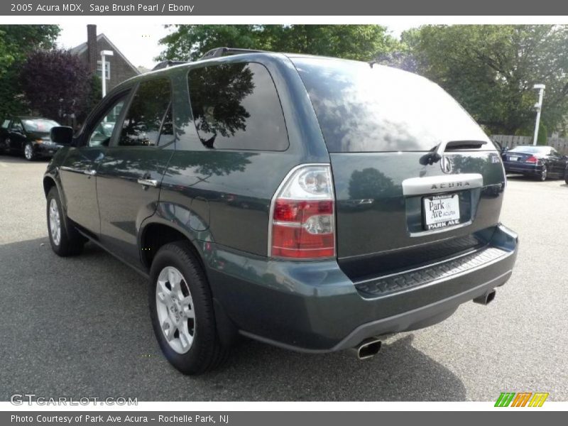 Sage Brush Pearl / Ebony 2005 Acura MDX