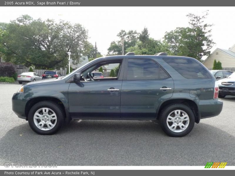 Sage Brush Pearl / Ebony 2005 Acura MDX