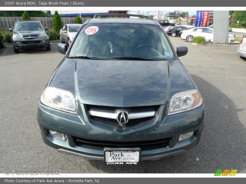 Sage Brush Pearl / Ebony 2005 Acura MDX