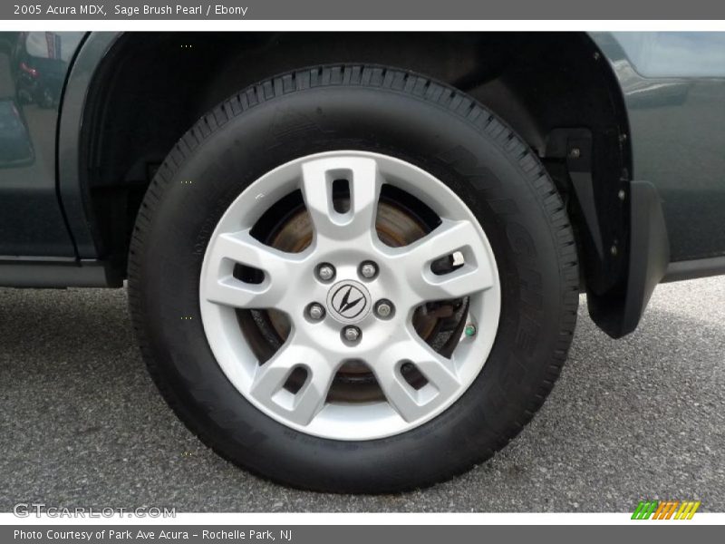 Sage Brush Pearl / Ebony 2005 Acura MDX