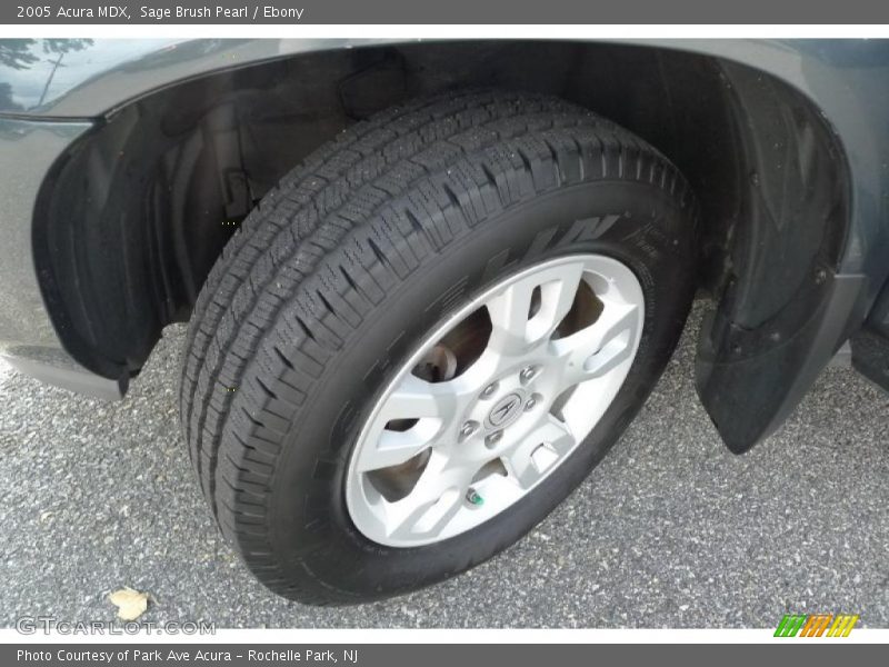 Sage Brush Pearl / Ebony 2005 Acura MDX