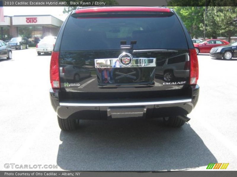Black Raven / Ebony 2010 Cadillac Escalade Hybrid AWD