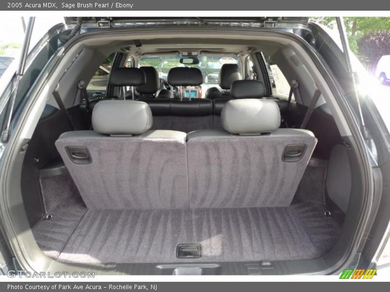 Sage Brush Pearl / Ebony 2005 Acura MDX