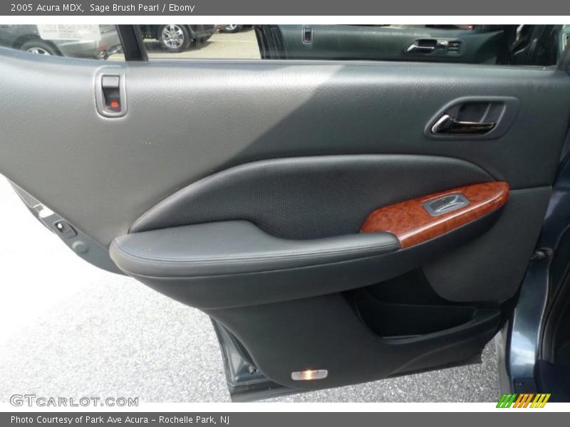 Sage Brush Pearl / Ebony 2005 Acura MDX