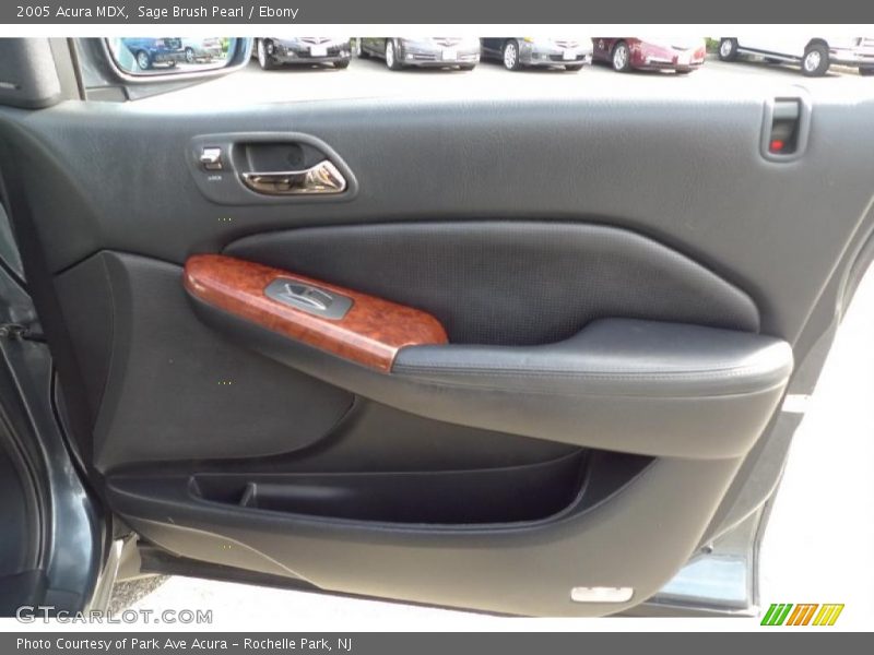 Sage Brush Pearl / Ebony 2005 Acura MDX
