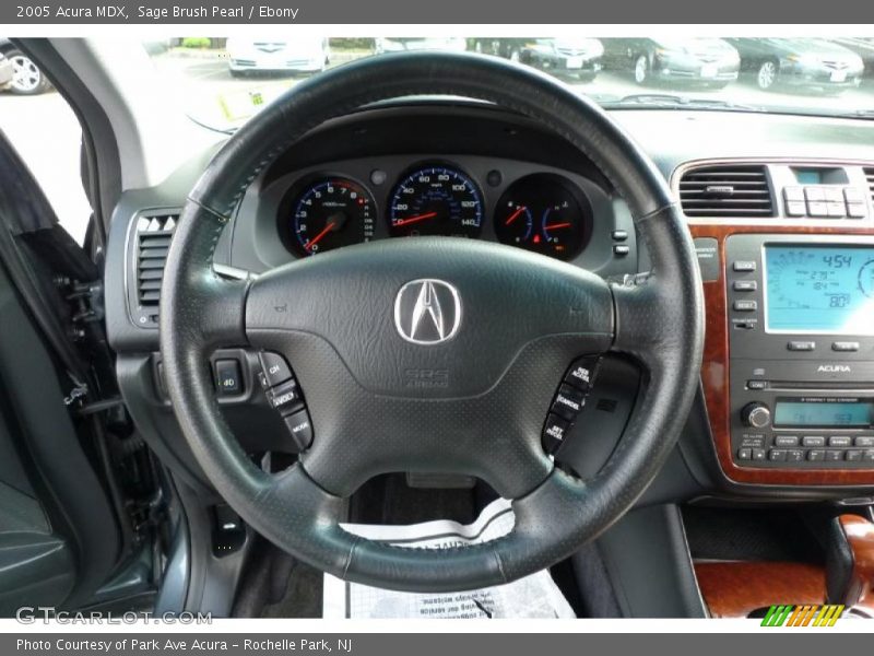 Sage Brush Pearl / Ebony 2005 Acura MDX