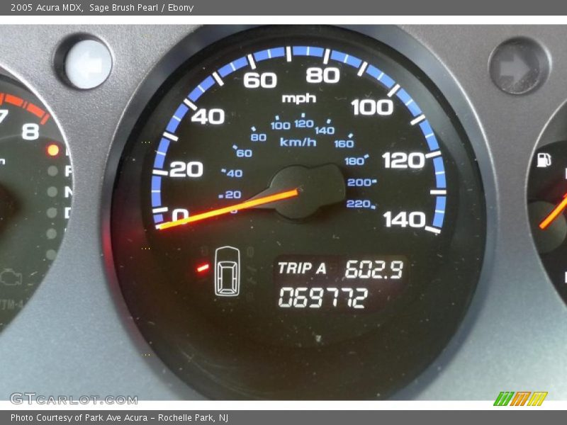 Sage Brush Pearl / Ebony 2005 Acura MDX