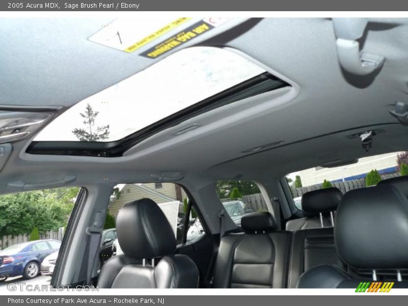 Sage Brush Pearl / Ebony 2005 Acura MDX