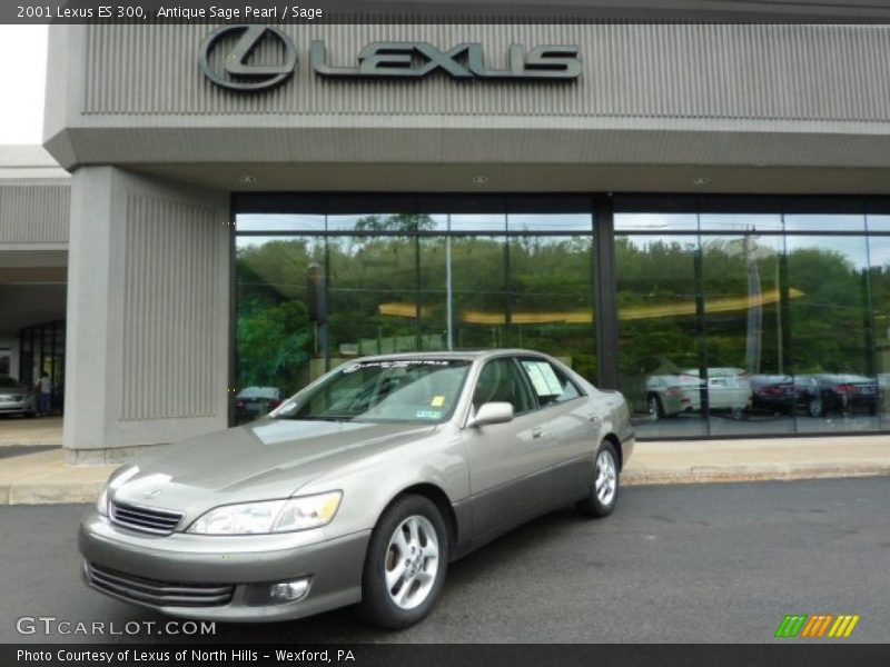Antique Sage Pearl / Sage 2001 Lexus ES 300