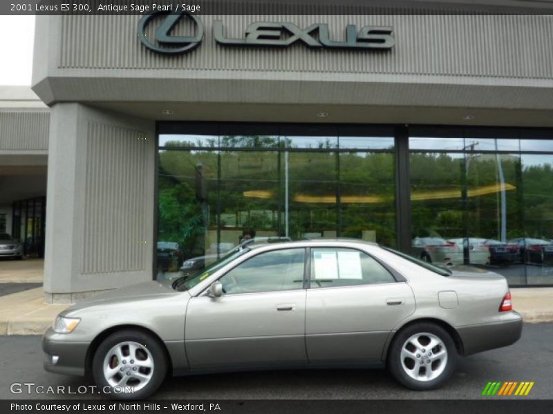 Antique Sage Pearl / Sage 2001 Lexus ES 300