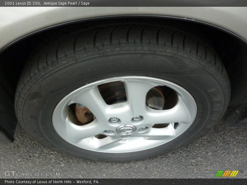 Antique Sage Pearl / Sage 2001 Lexus ES 300