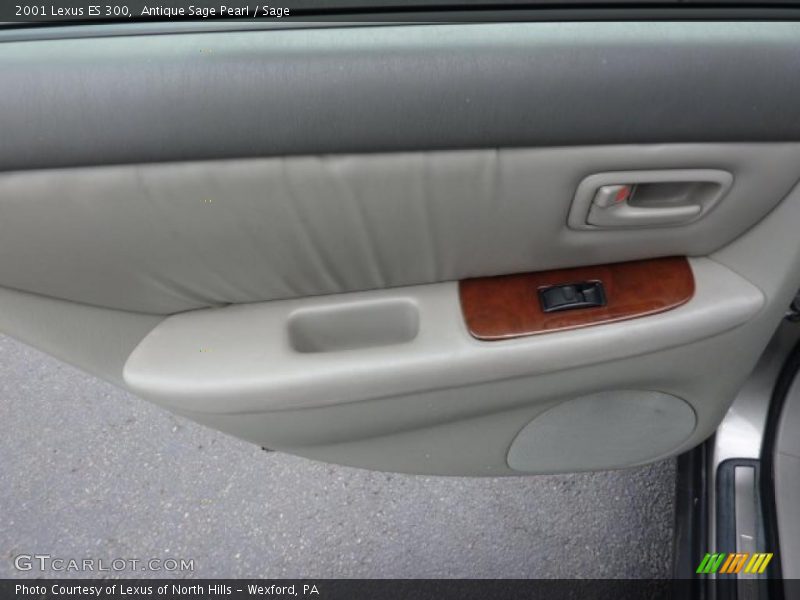 Antique Sage Pearl / Sage 2001 Lexus ES 300