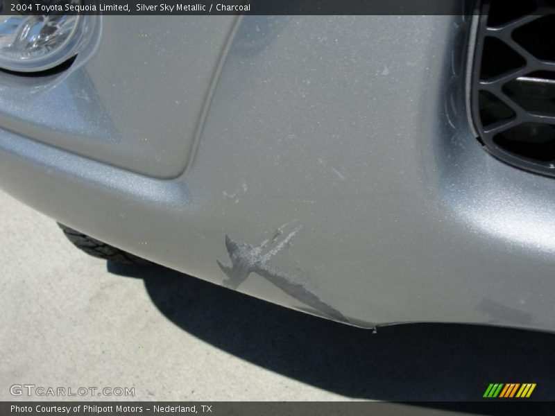 Silver Sky Metallic / Charcoal 2004 Toyota Sequoia Limited