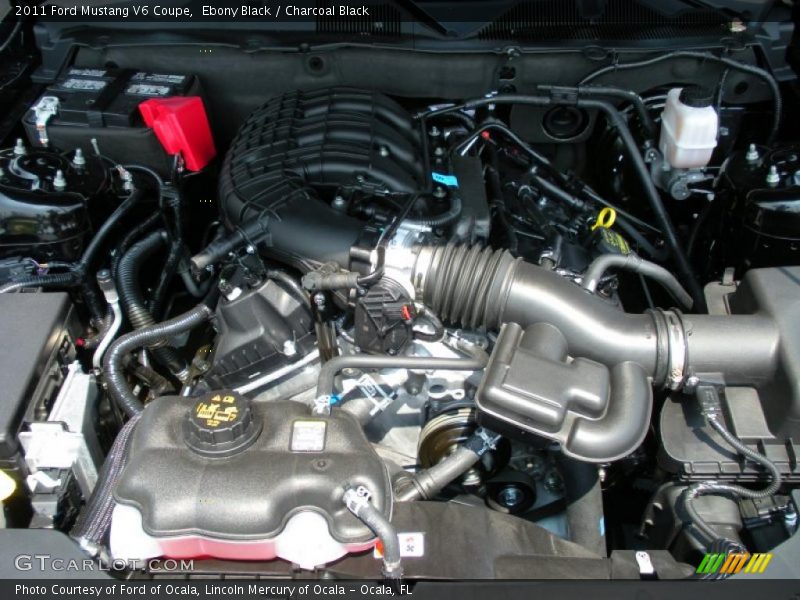 Ebony Black / Charcoal Black 2011 Ford Mustang V6 Coupe