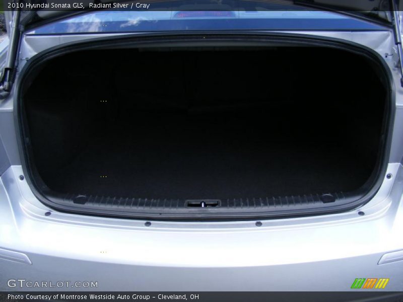 Radiant Silver / Gray 2010 Hyundai Sonata GLS