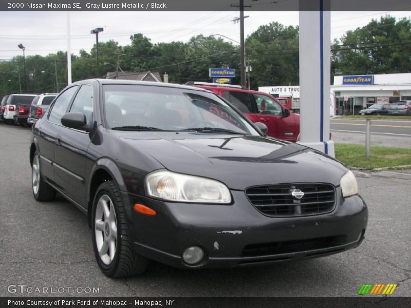 Gray Lustre Metallic / Black 2000 Nissan Maxima SE