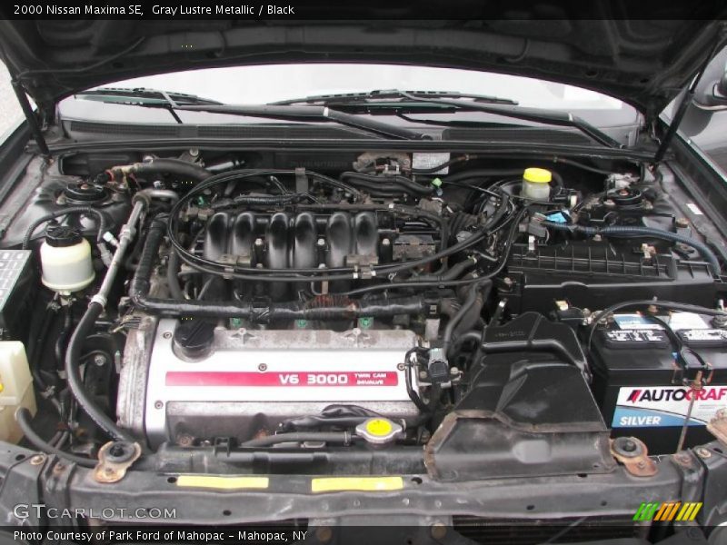 Gray Lustre Metallic / Black 2000 Nissan Maxima SE