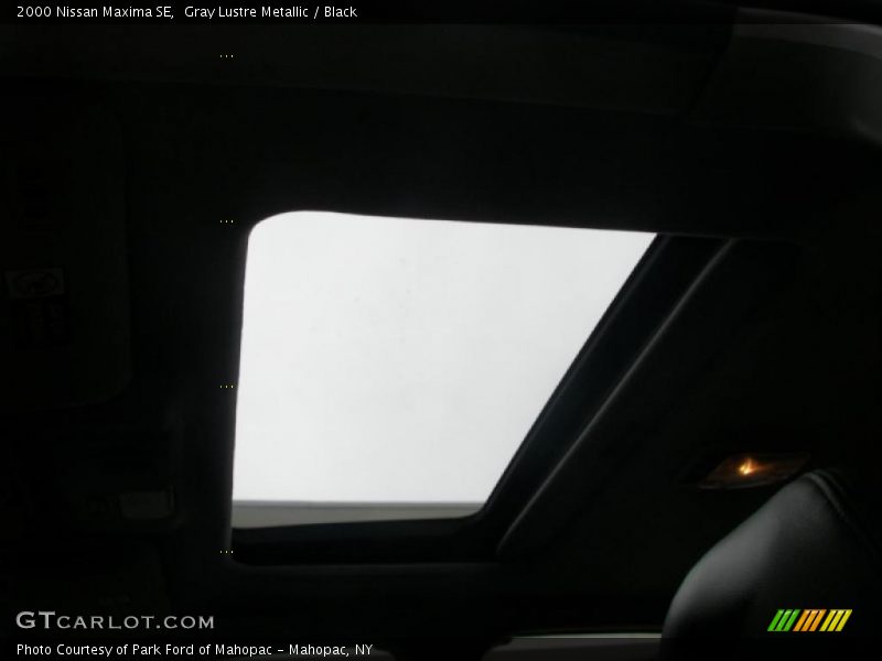 Gray Lustre Metallic / Black 2000 Nissan Maxima SE