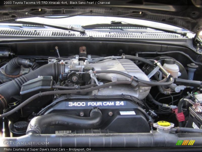 Black Sand Pearl / Charcoal 2003 Toyota Tacoma V6 TRD Xtracab 4x4