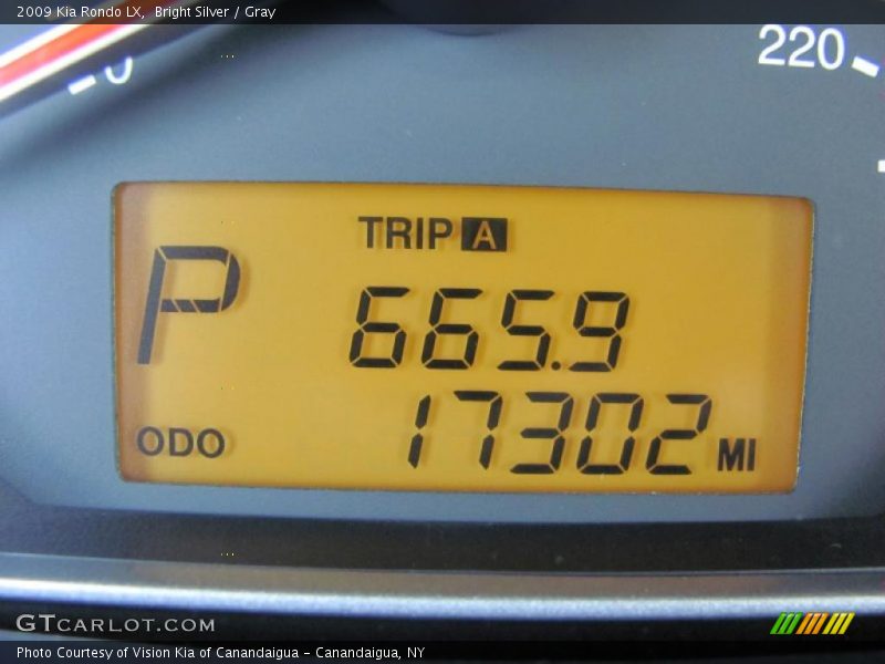 Bright Silver / Gray 2009 Kia Rondo LX