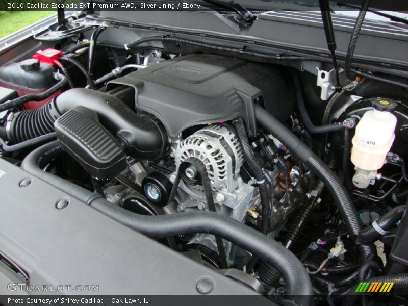 Silver Lining / Ebony 2010 Cadillac Escalade EXT Premium AWD