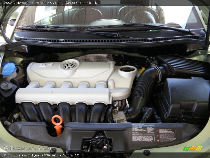 Gecko Green / Black 2008 Volkswagen New Beetle S Coupe