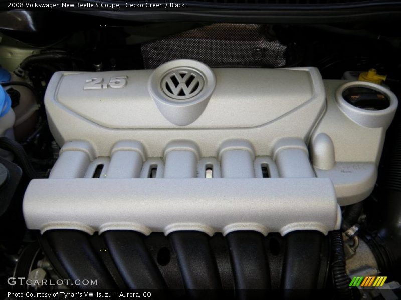 Gecko Green / Black 2008 Volkswagen New Beetle S Coupe