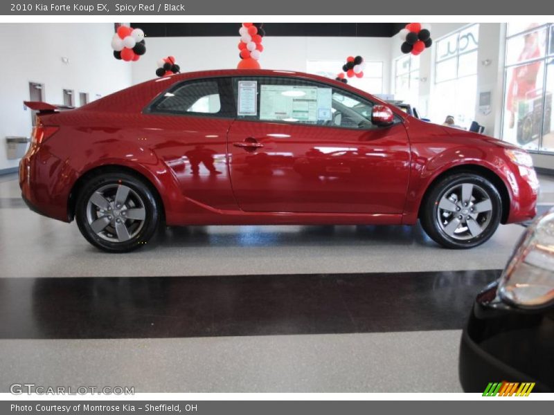Spicy Red / Black 2010 Kia Forte Koup EX