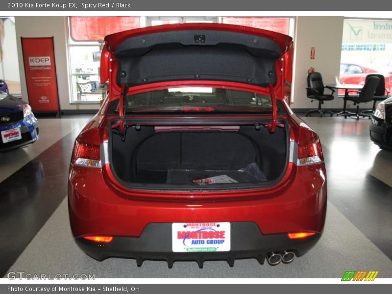 Spicy Red / Black 2010 Kia Forte Koup EX