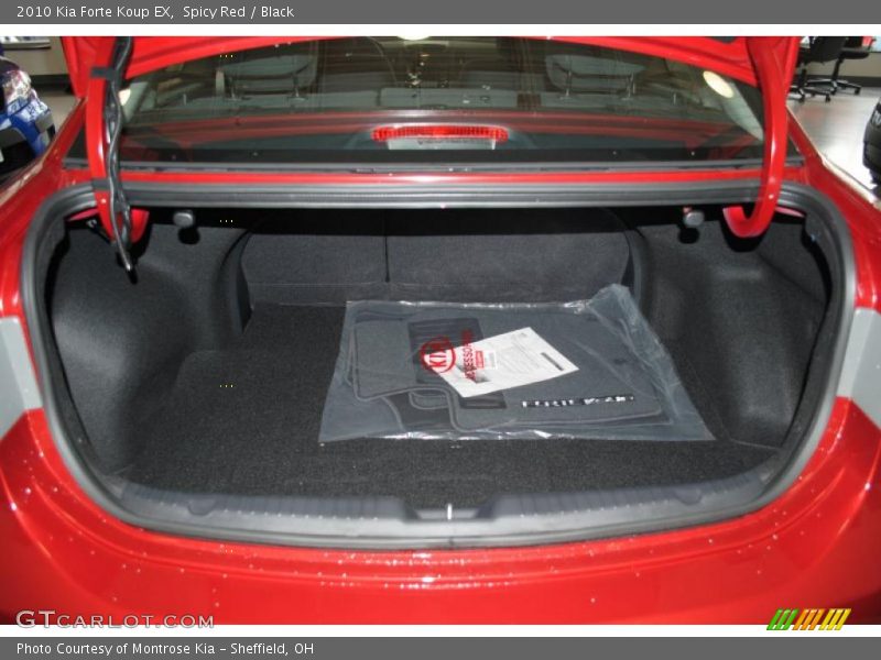 Spicy Red / Black 2010 Kia Forte Koup EX