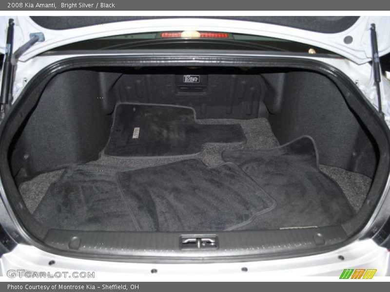 Bright Silver / Black 2008 Kia Amanti